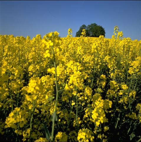 "Social and labour issues have been left out of the EU's criteria altogether" <a target="_blank">(Photo: Notat)</a>