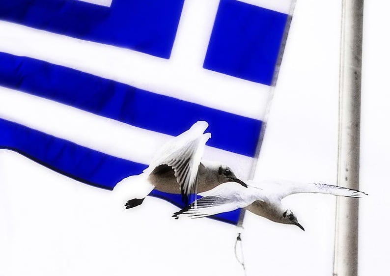 Greek police have arrested senior members of the Golden Dawn <a target="_blank">(Photo: John D. Carnessiotis, Athens, Greece)</a>