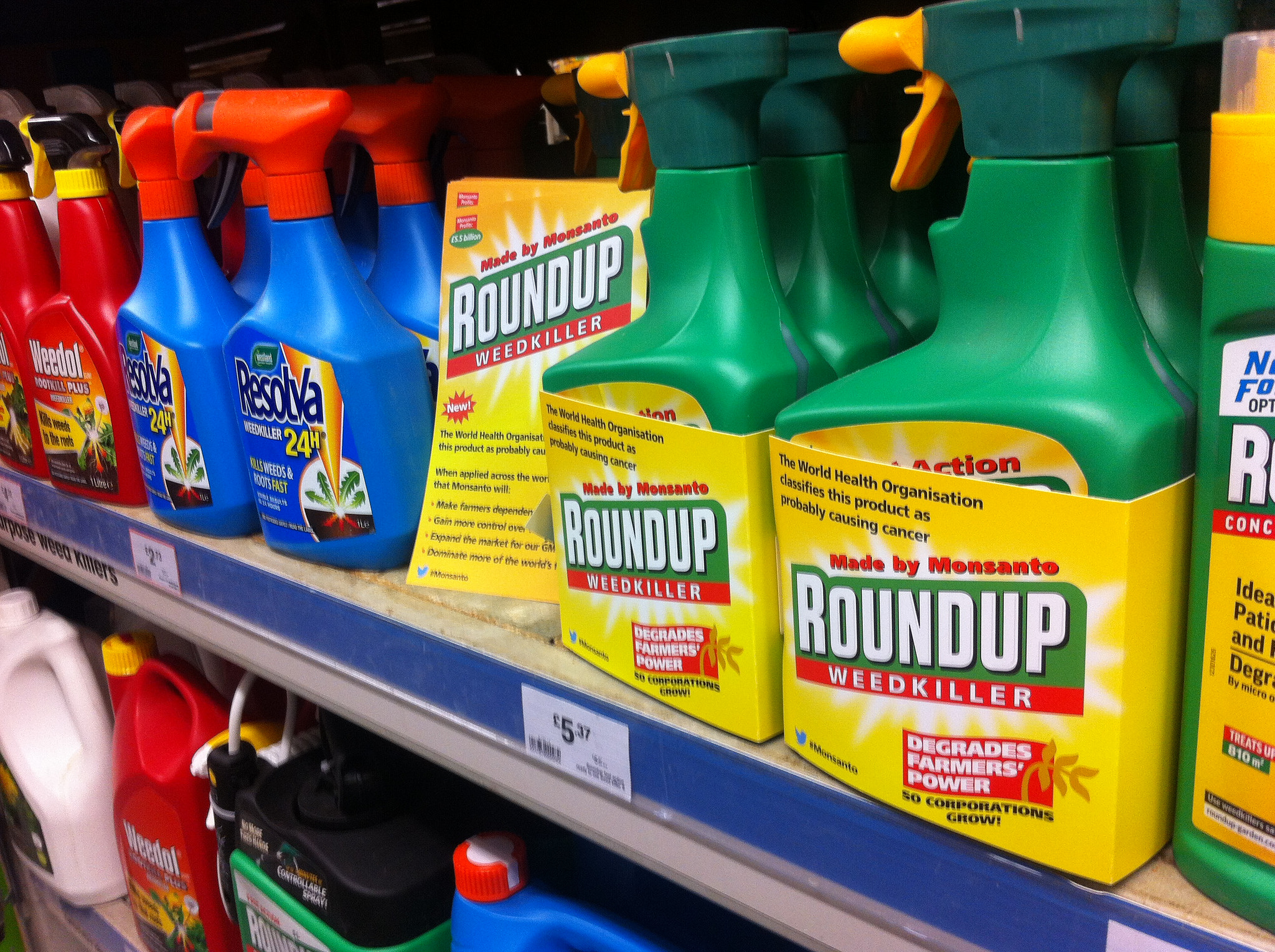 EU states at crossroads on weed-killer renewal  EUobserver