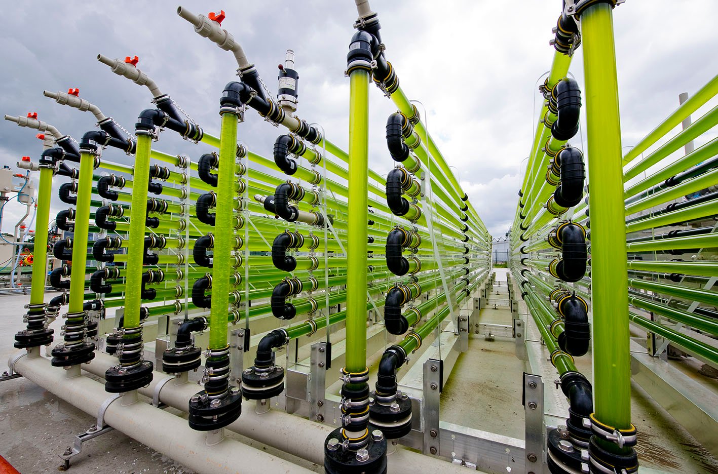Algae bioreactor at AlgaeParc in Wageningen, Netherlands (Photo: Wageningen University)