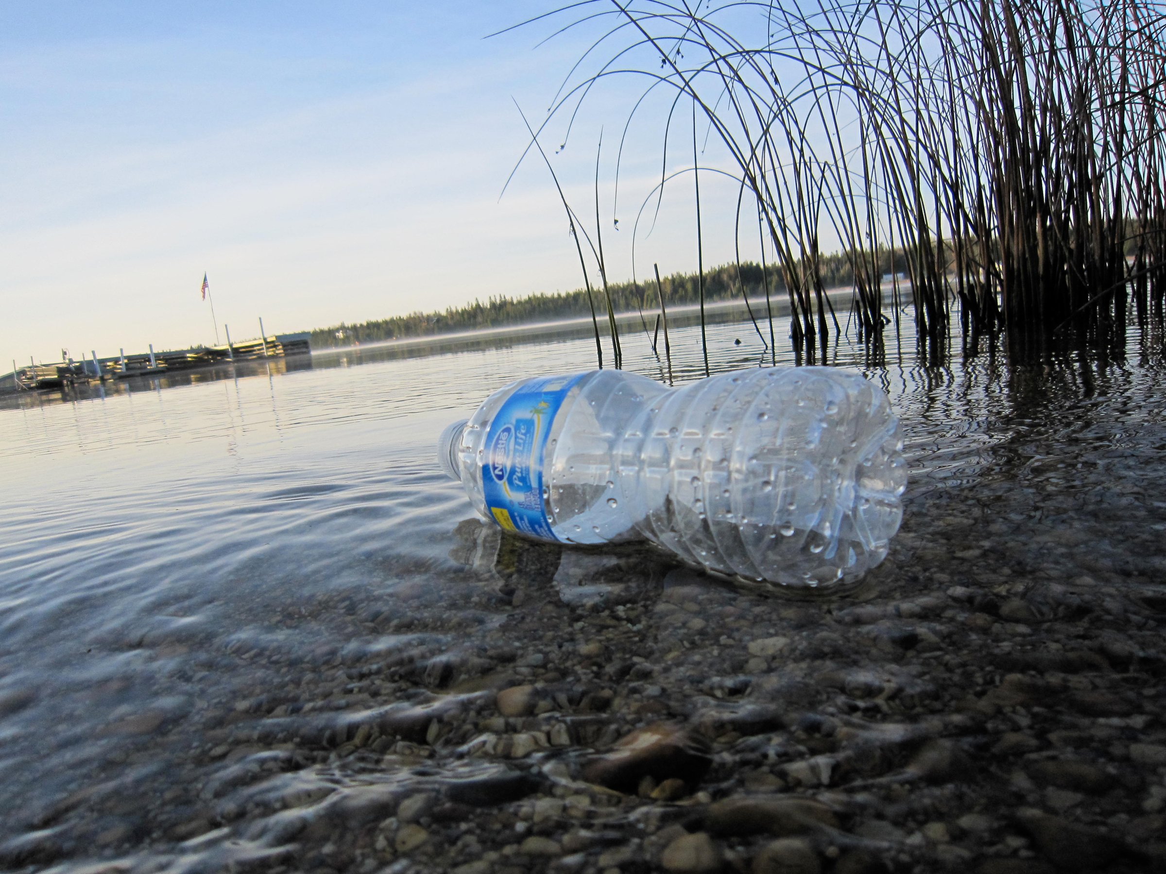 When people hear the phrase bioplastics, they tend to think that it is completely plant-based. (Photo: Kate Ter Haar)