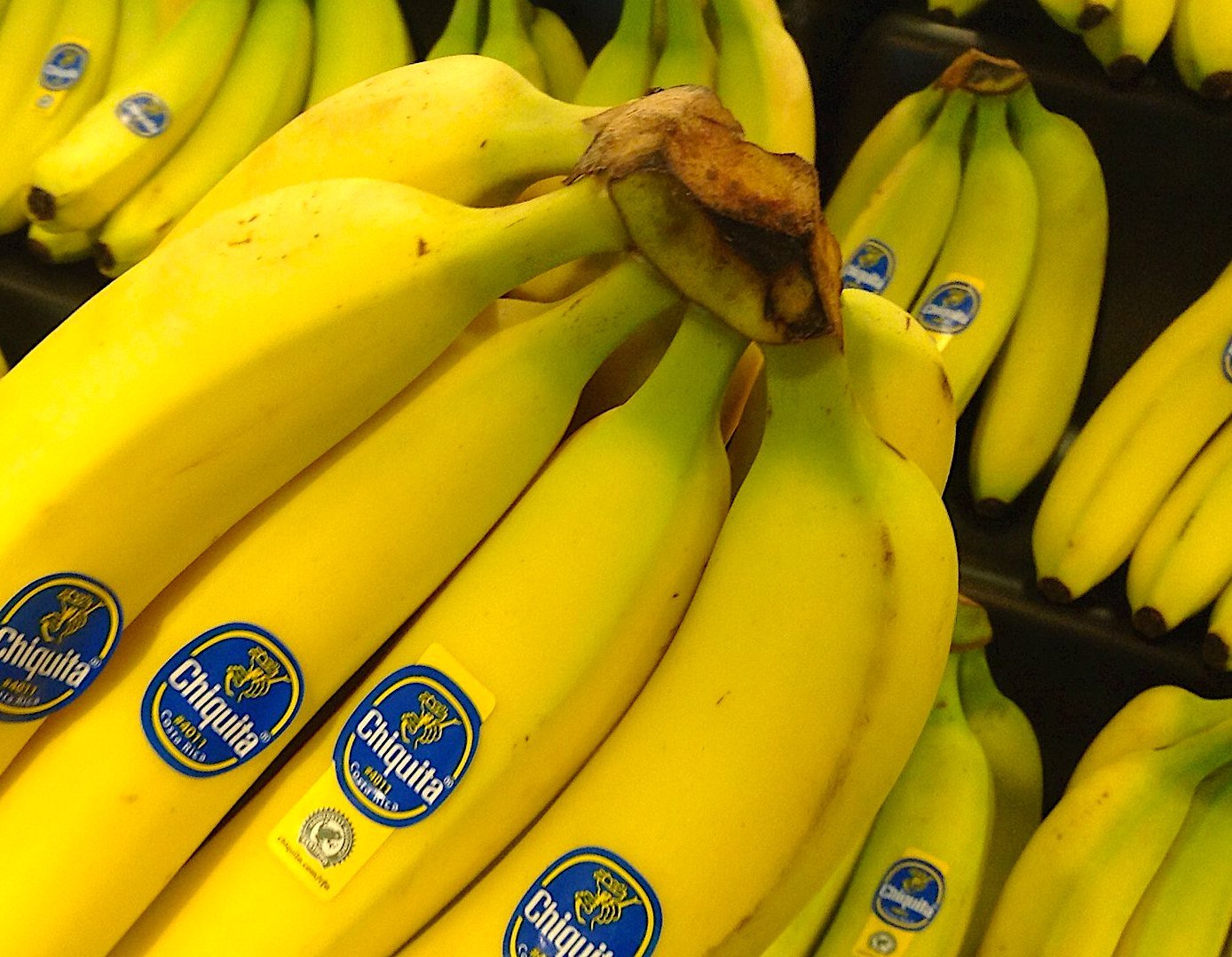 Countries which grow bananas, which the US mainly imports from Latin America and the Caribbean, are being hit with 10-percent tariffs. It is, quite literally, bananas (Photo: Mike Mozart)