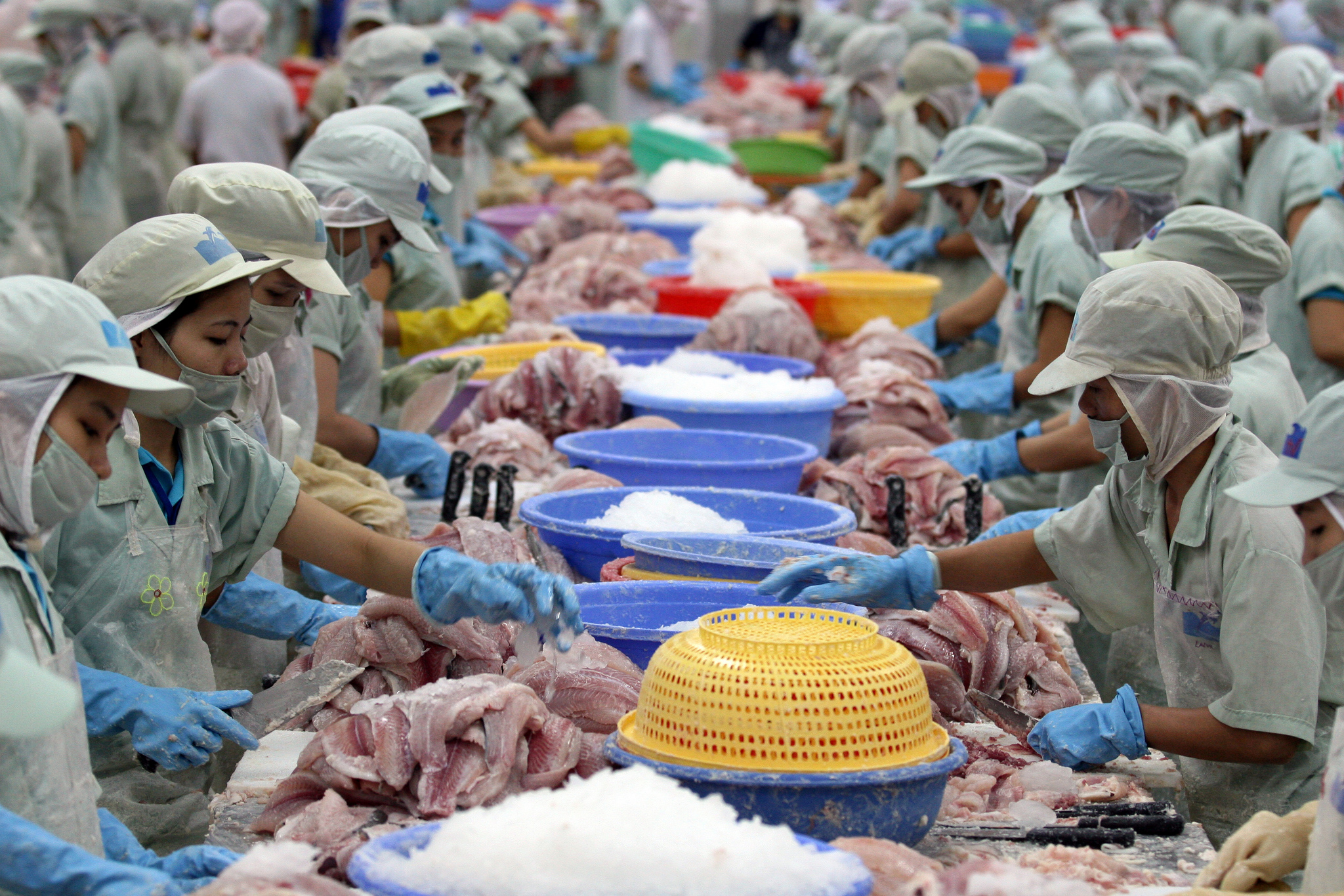 Some 40 percent of fish populations in the north Atlantic, North Sea and Baltic are still being overfished. In the Mediterranean and Black Sea that figure is closer to 90 percent (Photo: World Bank)