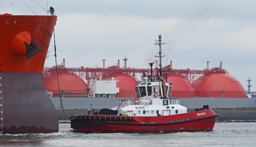 Last year, Germany, Greece, and Finland sourced more than 80 percent of LGN from the United States (Photo: kees torn)