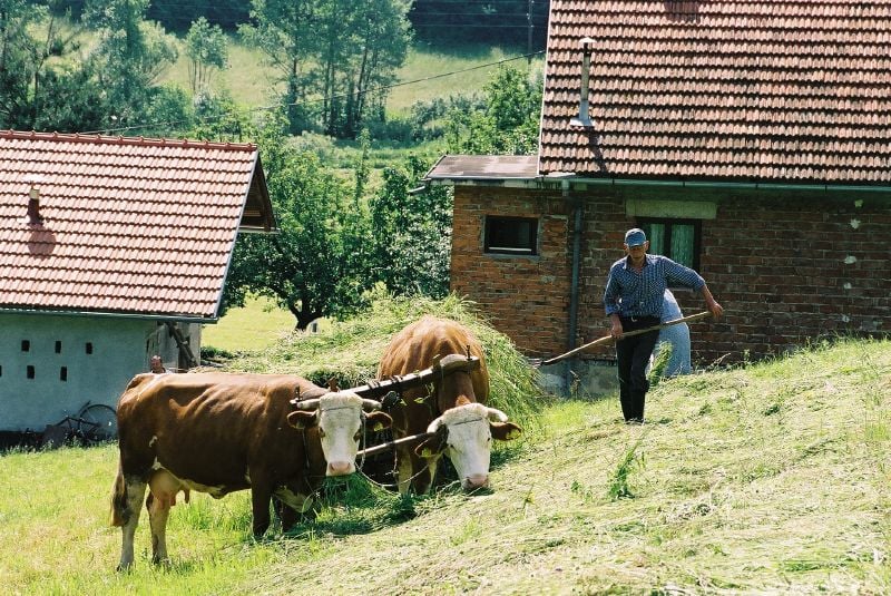 Lobby groups such as Copa-Cogeca, DBV and its counterparts in Austria and France, don't just represent farmers, they also speak for agribusinesses (Photo: Dan Mueller)