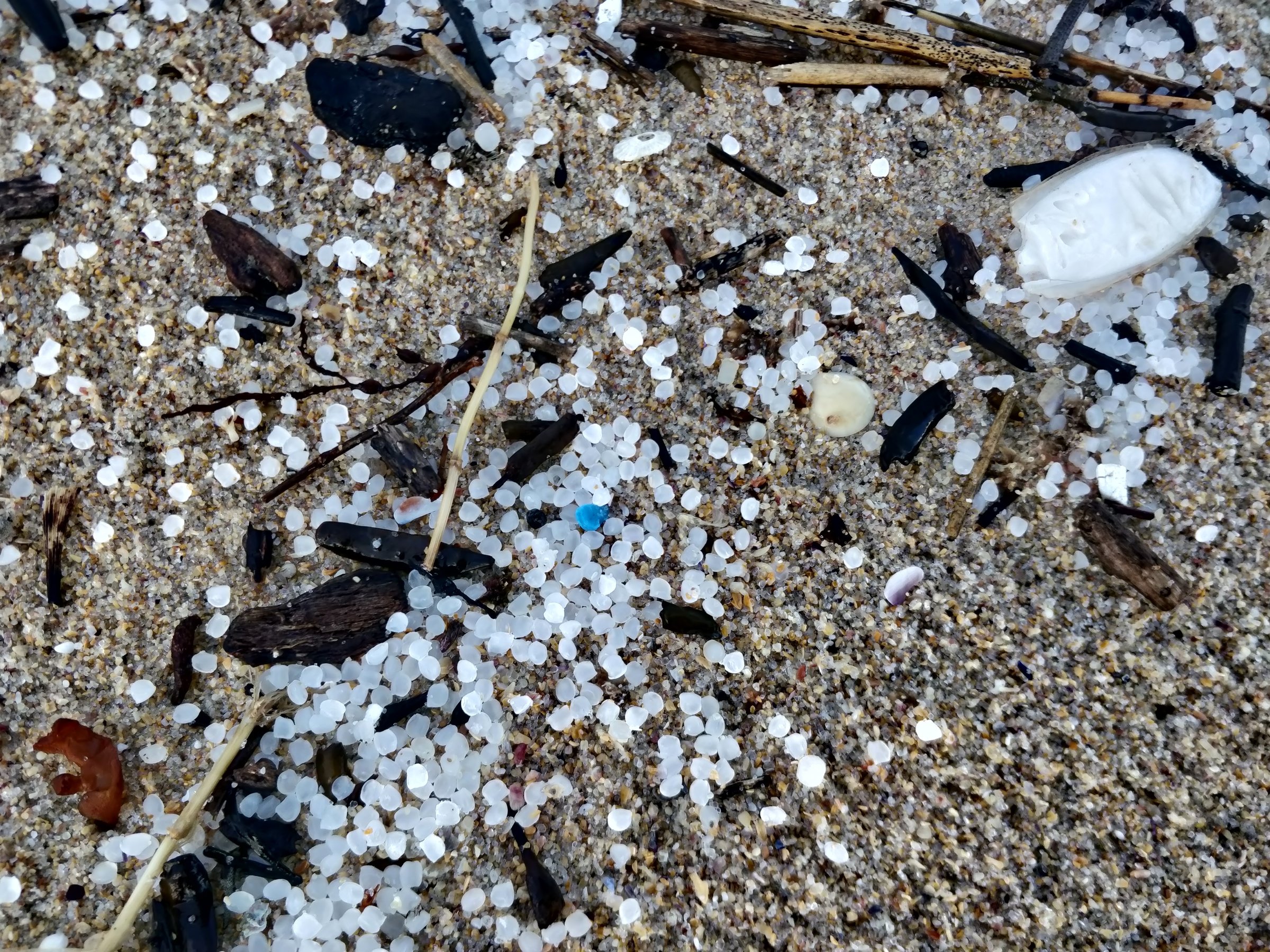 These tiny round plastic pellets are called nurdles, and they make up the second-largest source of ocean microplastics, after tyre dust <a target="_blank" href="https://greenpeace.smugmug.com/Plasticos/Millones-de-pellets-contaminan-las-playas-gallegas/n-7nkpmP/i-dqgMxzL">(Photo: Greenpeace)</a>