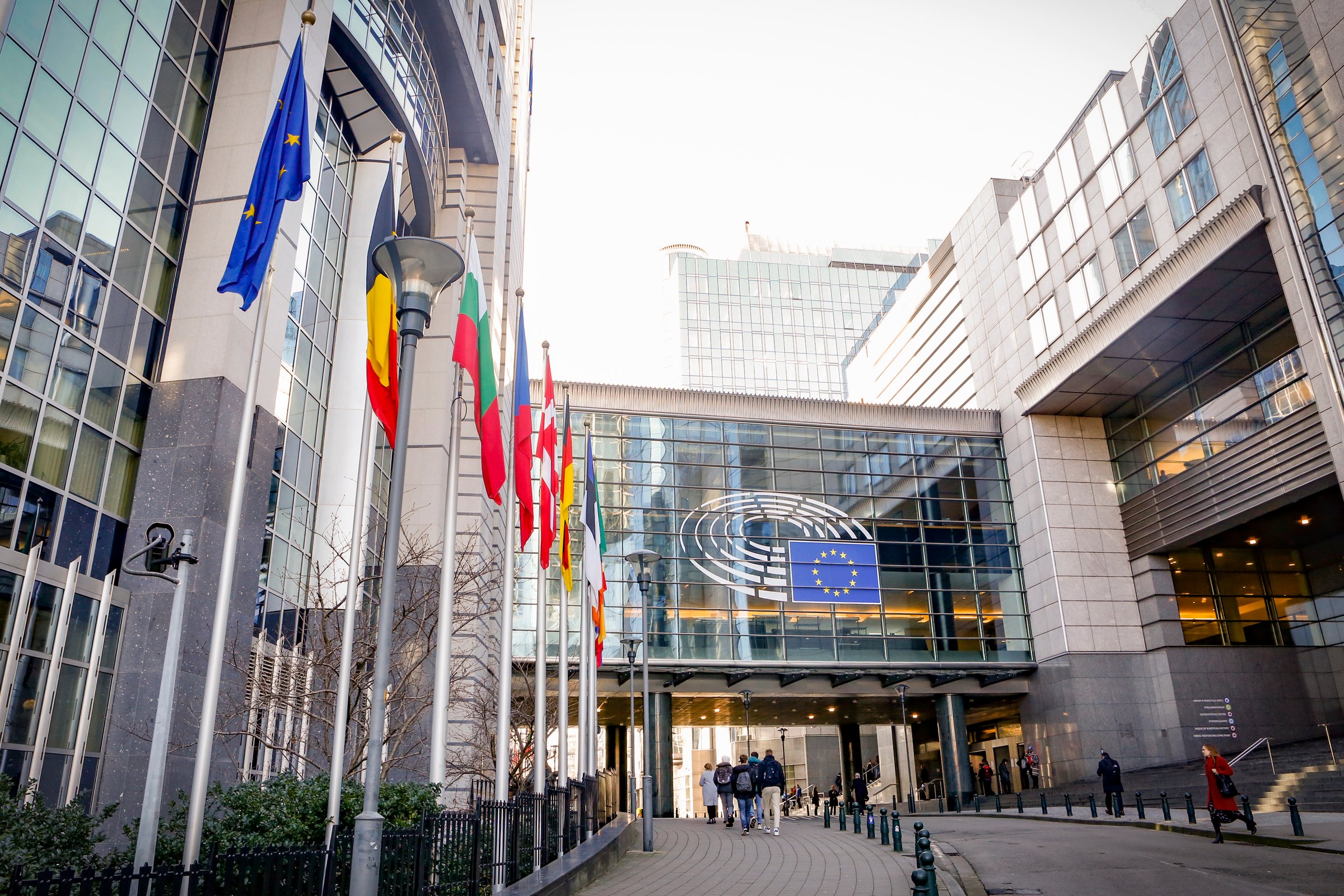 The far-right Identity and Democracy party group is projected gain more seats in the next elections (Photo: Alexis Haulot/EP)