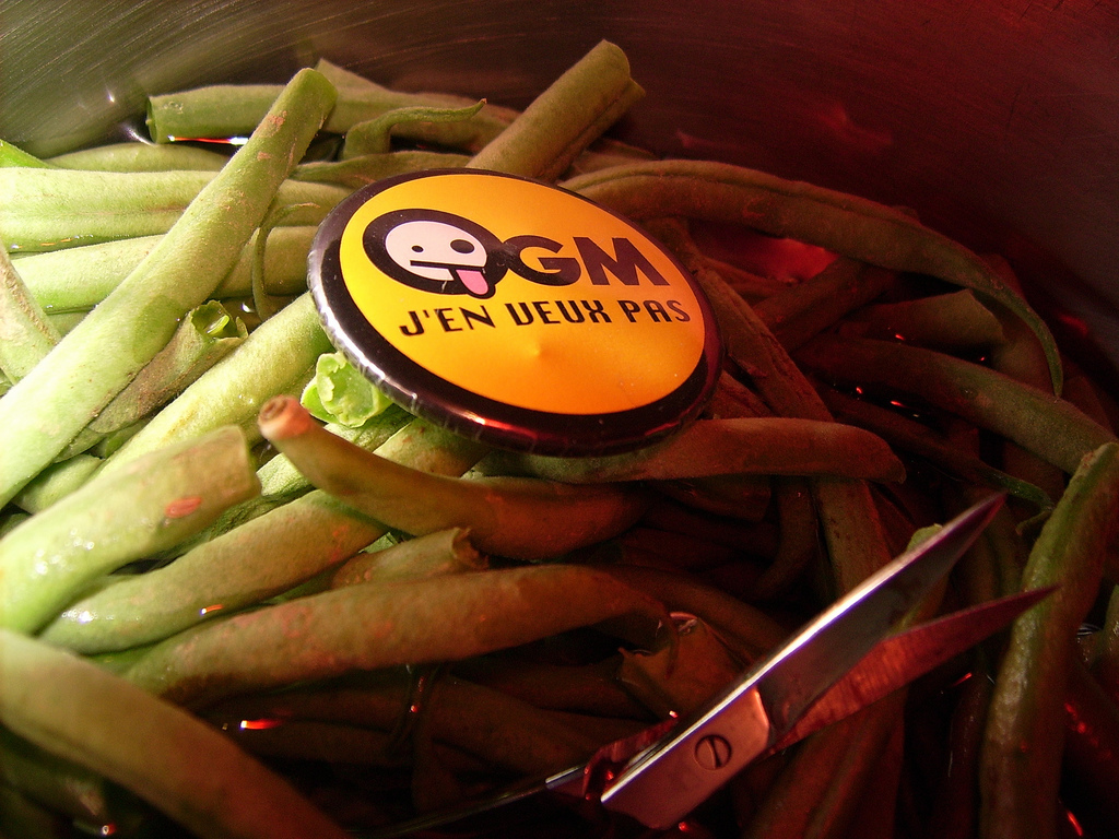 Not a single government agency, or the European Food Safety Authority (EFSA), or anyone, has reviewed let alone vouched for this (Photo: reflets de vert)