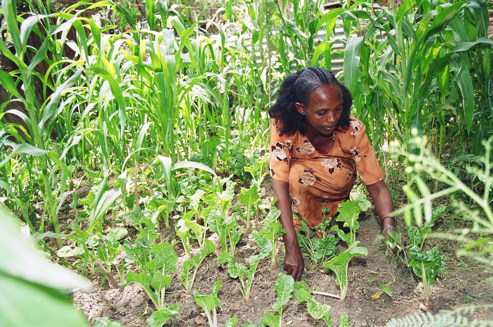 Every year, traffickers and criminals make nearly $10,000 per victim of forced labour (Photo: Fiorente A. / ILO)