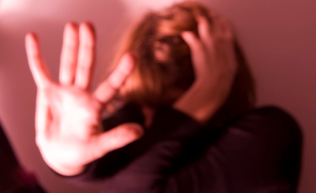 Cases of domestic violence have risen by a third in some member states during the coronavirus lockdown <a target="_blank">(Photo: European Parliament)</a>