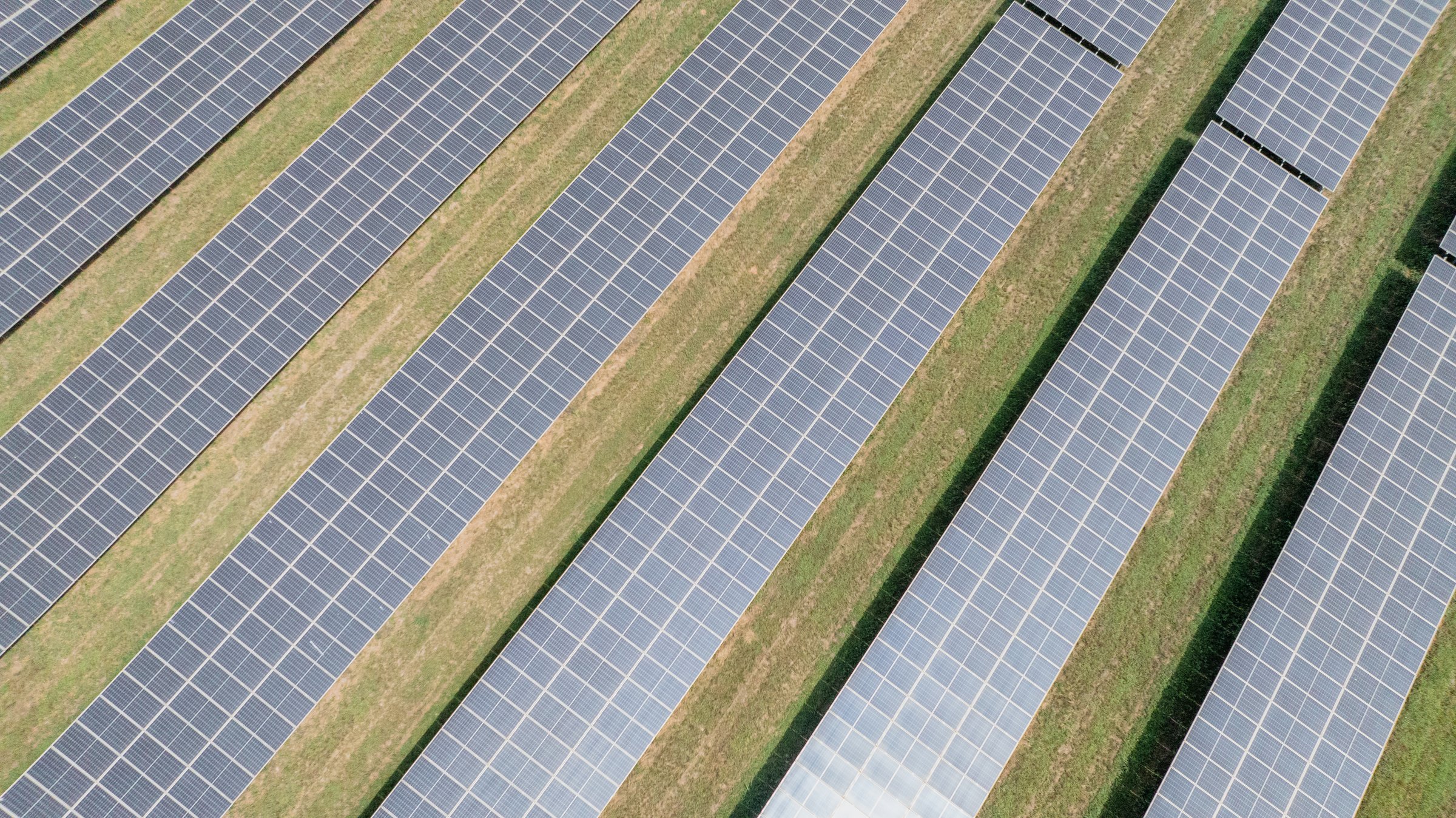 The increase in renewable energy led to a 59-percent drop in electricity emissions in 2024 (compared to 1990 levels) (Photo: European Commission)
