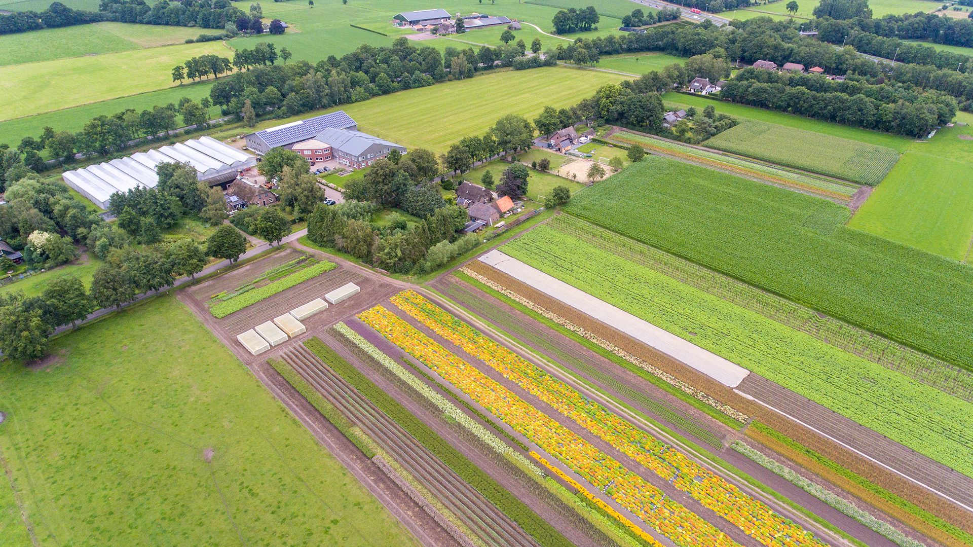 Several EU diplomats and Polish stakeholders said Poland’s U-turn came after 'unseen' levels of pressure coming at Warsaw from all fronts (Photo: De Boelster seed breeding company)