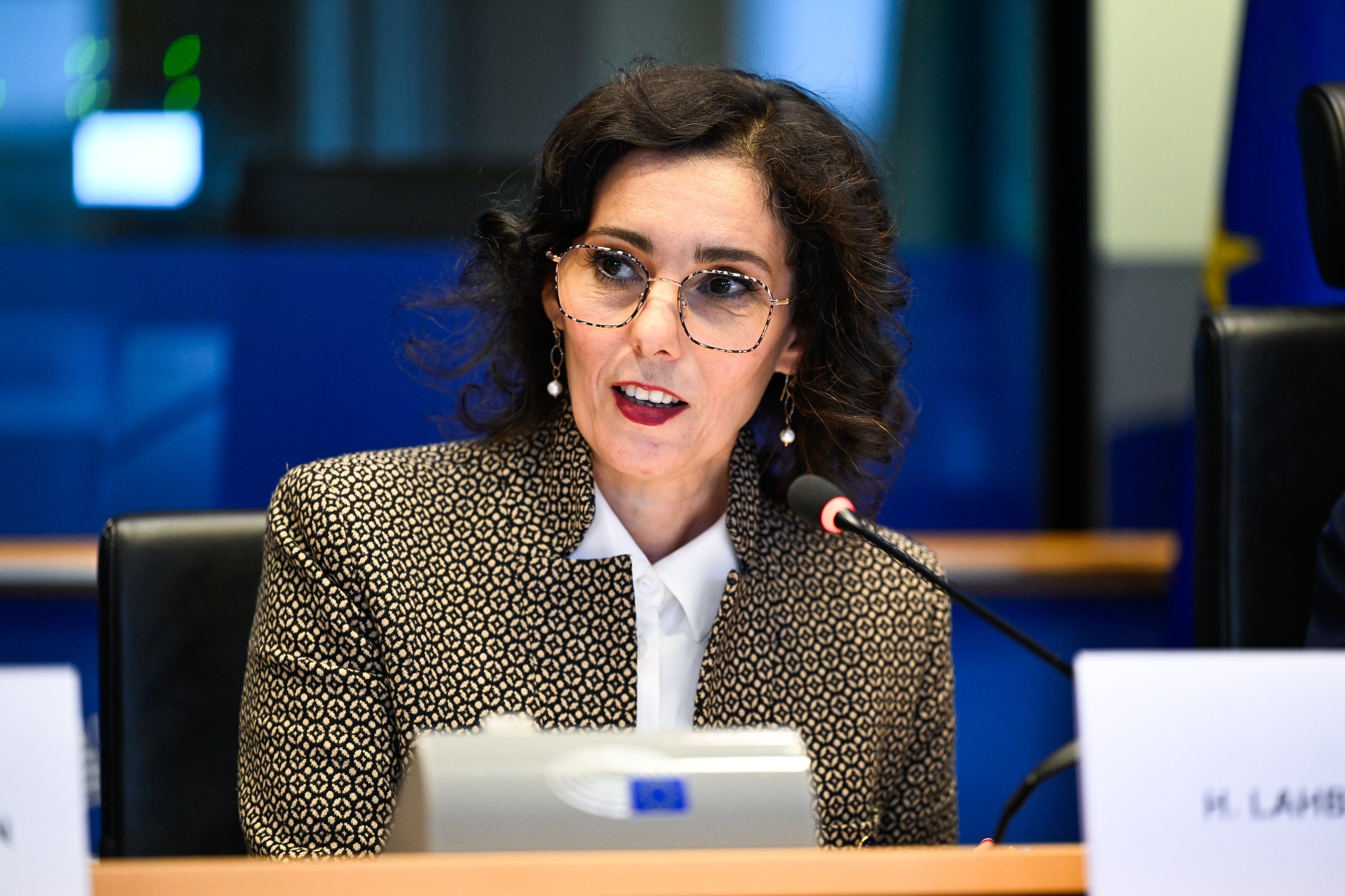 Commissioner Hadja Lahbib expects broad support for the strategy in council and parliament, but critics say it is not strong enough (Photo: European Parliament)