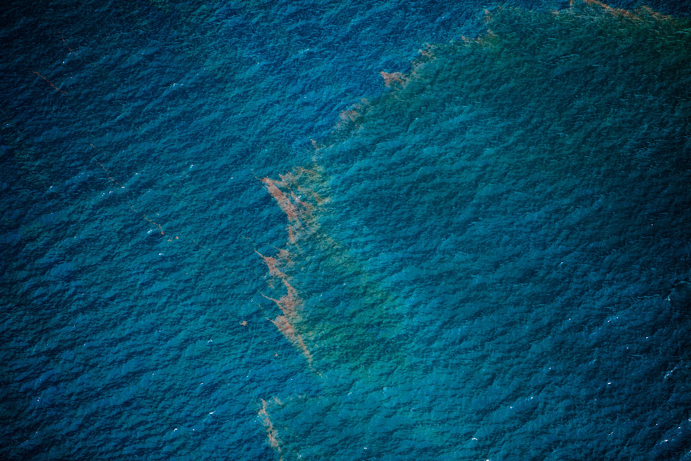 The Baltic Sea is especially vulnerable to oil spill-harm due to its geography (Photo: Kris Krüg)