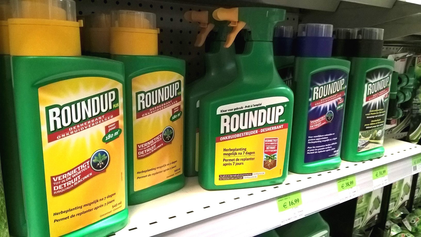 Bayer's toxic weedkiller Roundup is one of the company's best-selling products (Photo: Peter Teffer)