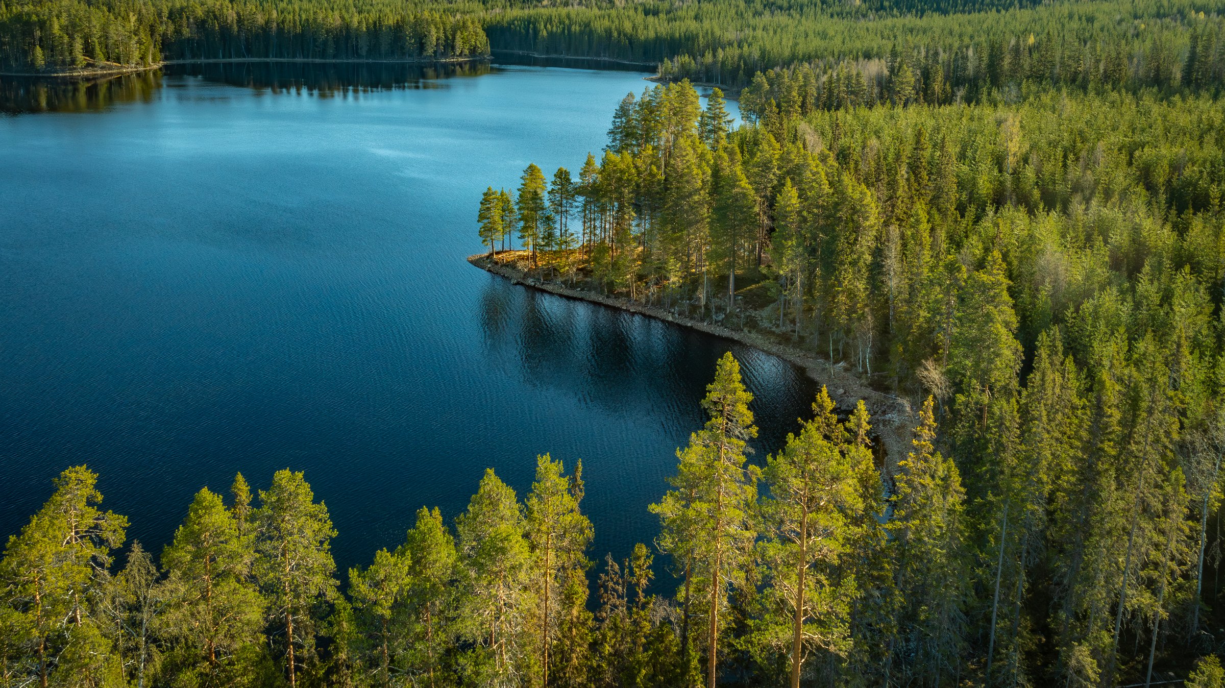 The current focus on carbon storage in forests is counterproductive and ignores the crucial role that wood-based products play at the other end of the value chain.  (Photo: Svenska Cellulosa Aktiebolaget)