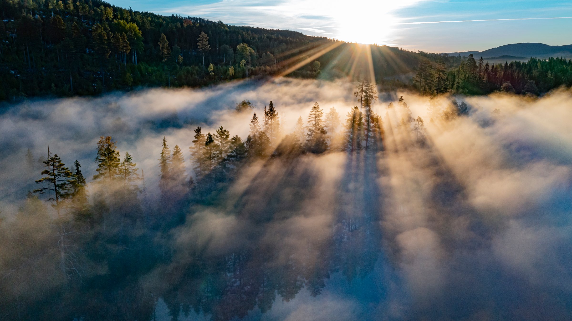 It is now time to revive and evolve renewable bioeconomy solutions for the benefit of current and future generations (Photo: Svenska Cellulosa Aktiebolaget, SCA)
