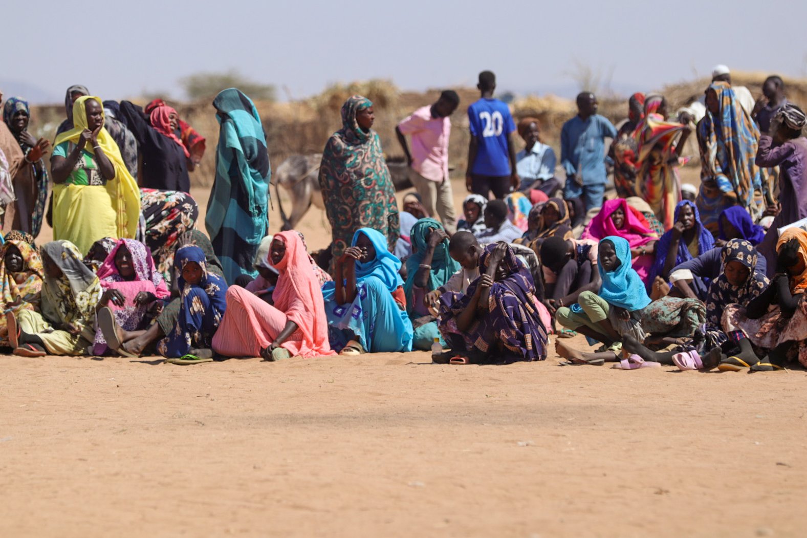 UNHCR and partner agencies distribute plastic sheets in Sudan's Tawila to address immediate needs <a target="_blank" href="https://www.unhcr.org/">(Photo: UNHCR/Mohammed Jalal)</a>