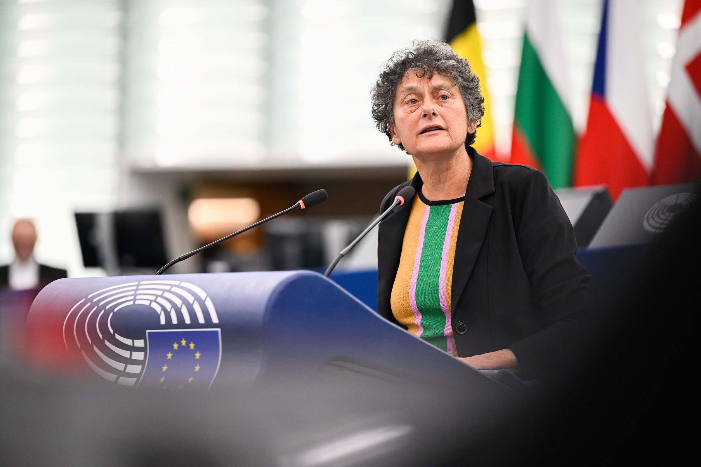 Dutch Green MEP Tineke Strik: 'You have all the evidence of the value breaches, and with this report, you [European Council] will once again have our urgent call to act' <a target="_blank" href="https://multimedia.europarl.europa.eu/en/photo/ep-plenary-session-existence-of-a-clear-risk-of-a-serious-breach-by-hungary-of-the-values-on-which-the-union-is-founded_20251124_EP-194497B_LD1_EG_017">(Photo: European Union 2025 - Source : EP)</a>