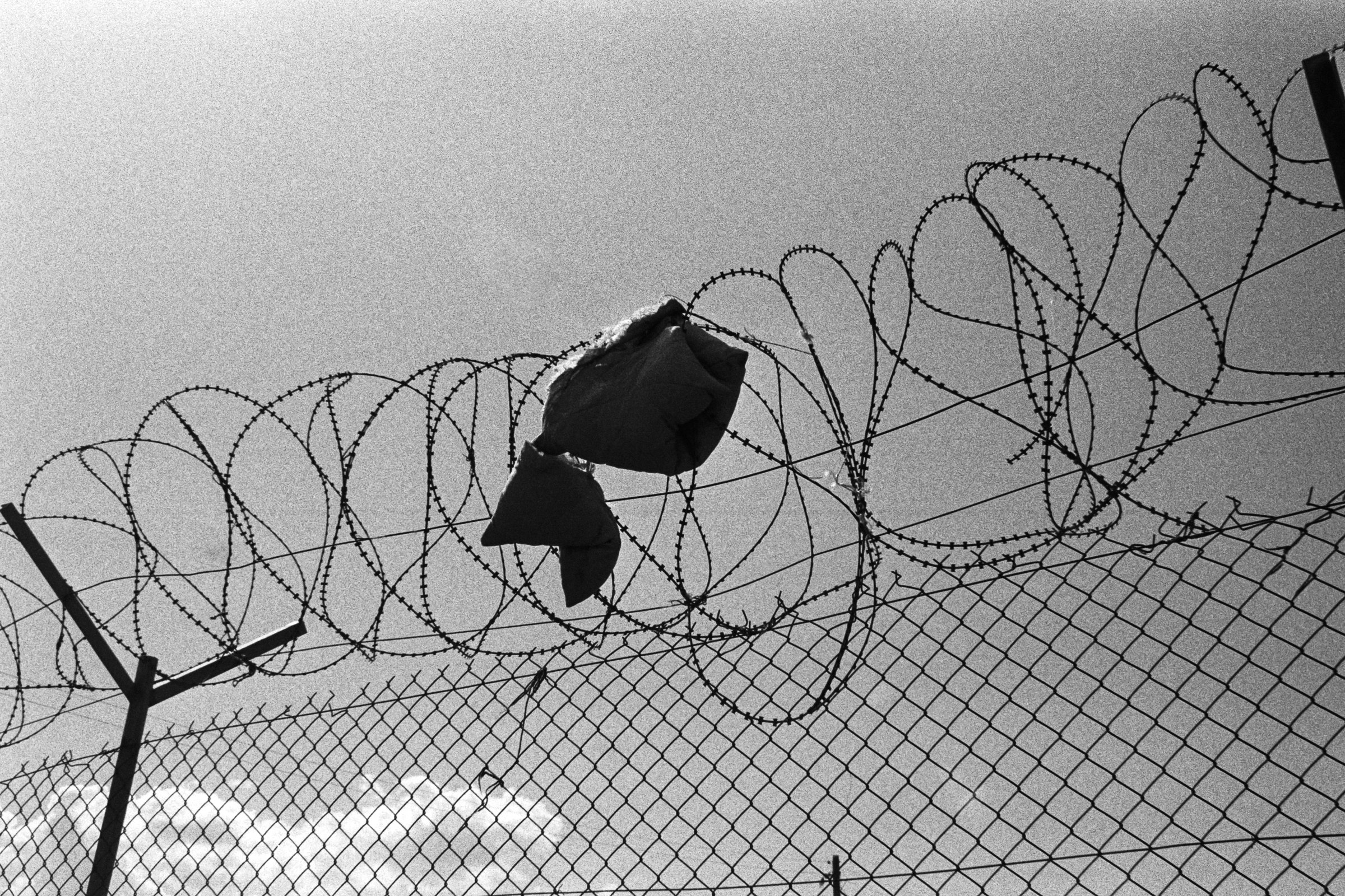 The provision, agreed in recent Council compromise negotiations and seen by EUobserver, is due to be endorsed by EU interior ministers at their meeting in Brussels on Monday (Photo: Linda Caglioni, Lucrezia Lozza, Lavinia Nocelli)