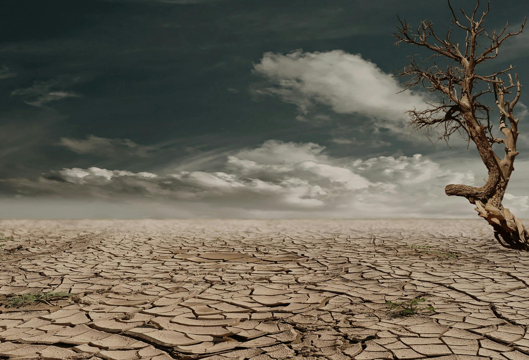 Overshooting the 1.5°C threshold risks triggering increased extreme weather events, such as wildfires or droughts. (Photo: Pixabay)