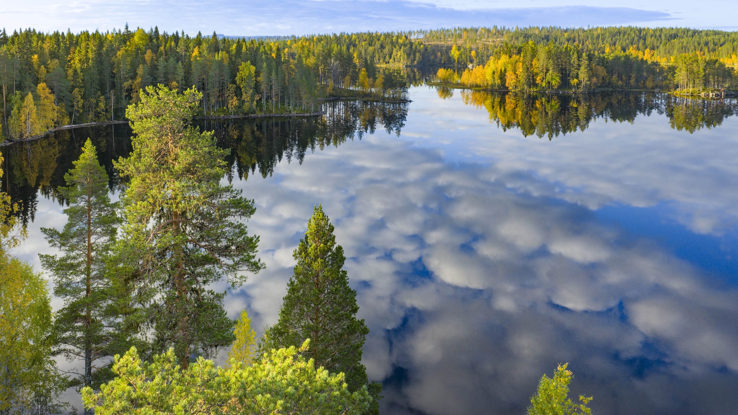 The EU needs a bioeconomy framework that moves from caution to confidence.