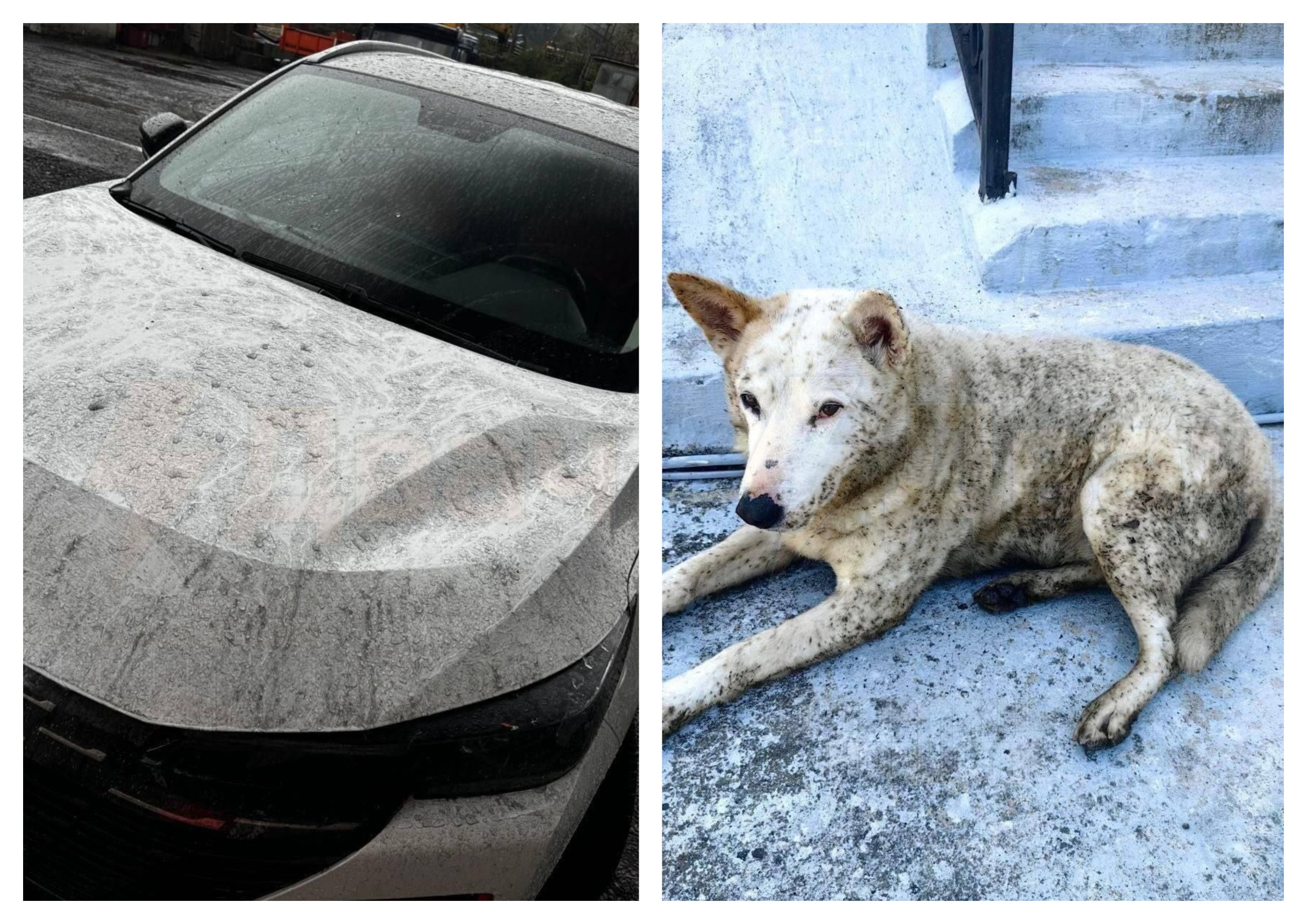 Crisis ambiental en Tuapse: lluvia de petróleo tras ataque ucraniano