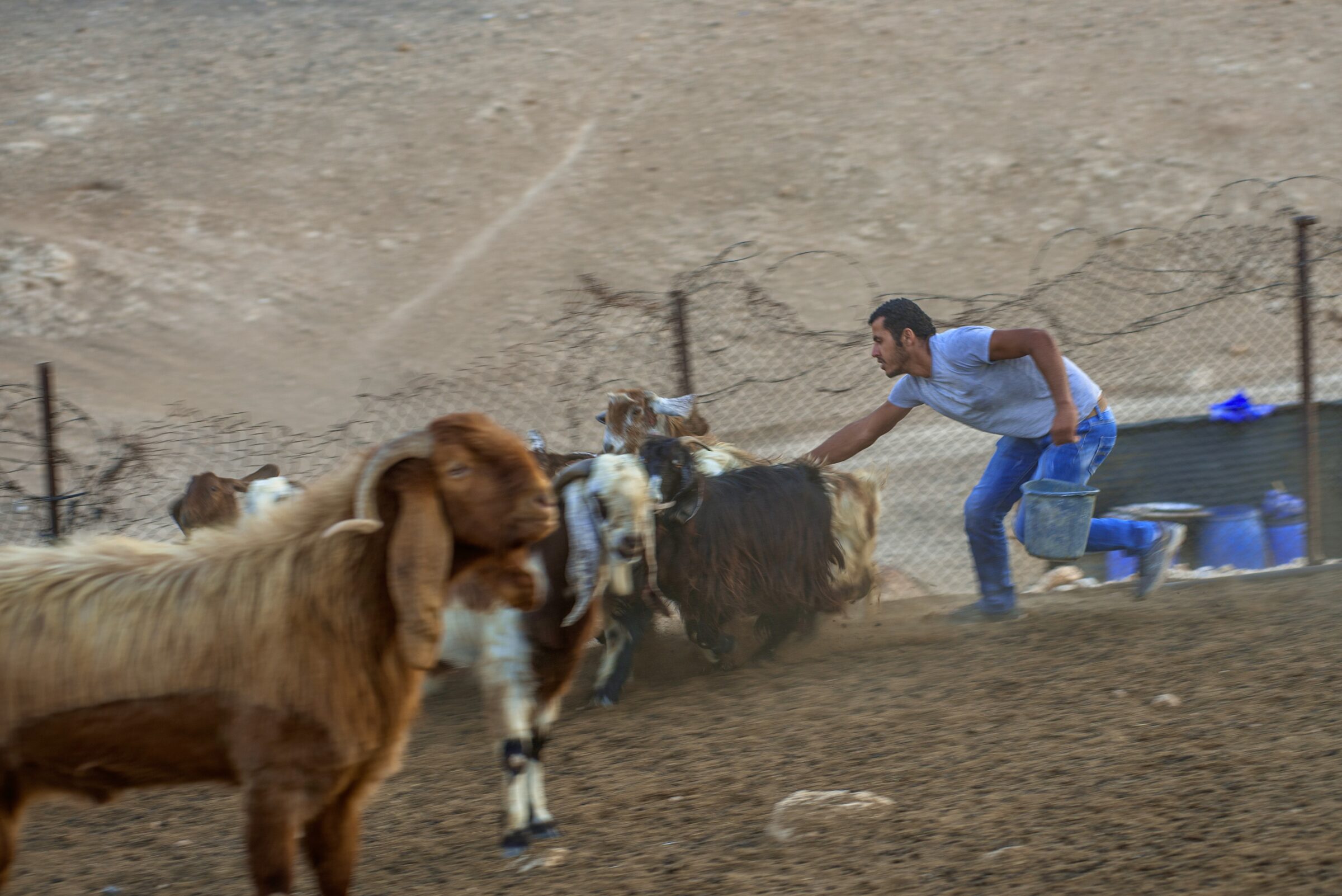 Palestinian farmer in Muarajat East, in the Israeli occupied West Bank