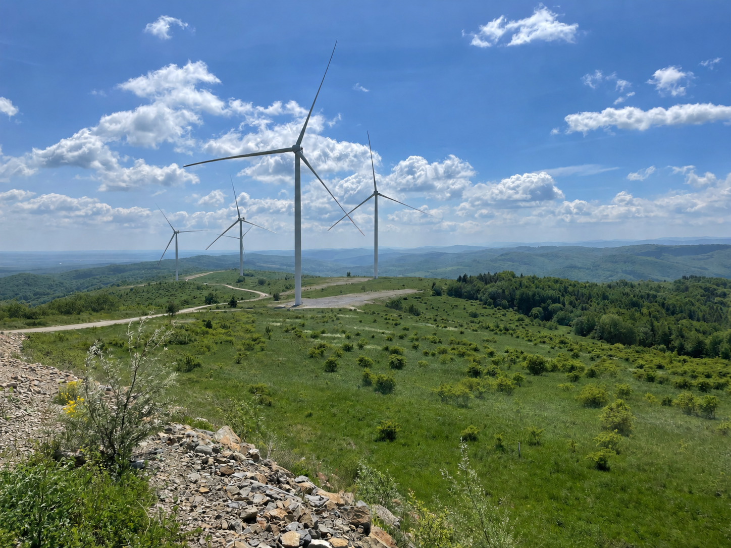 Eco Optima's wind turbines in Western Ukraine were built in the years following Russia's invasion.
