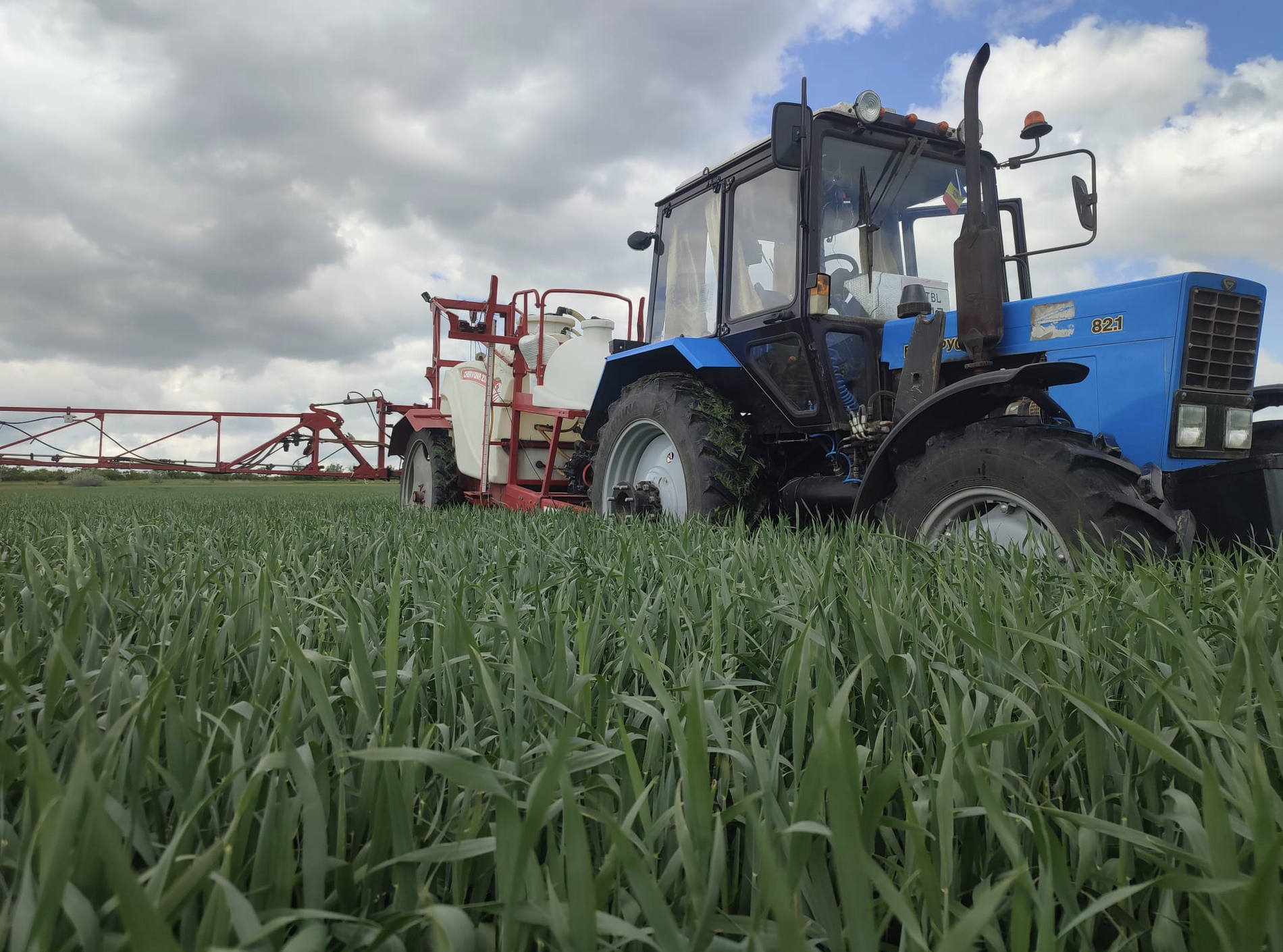 The promise of cheap black-earth grain collides with fears of bankruptcy and land grabs, as underfunded smallholders and powerful agro-holdings race to shape the rules of Europe’s next big enlargement. Source: Oxana Bodnar.