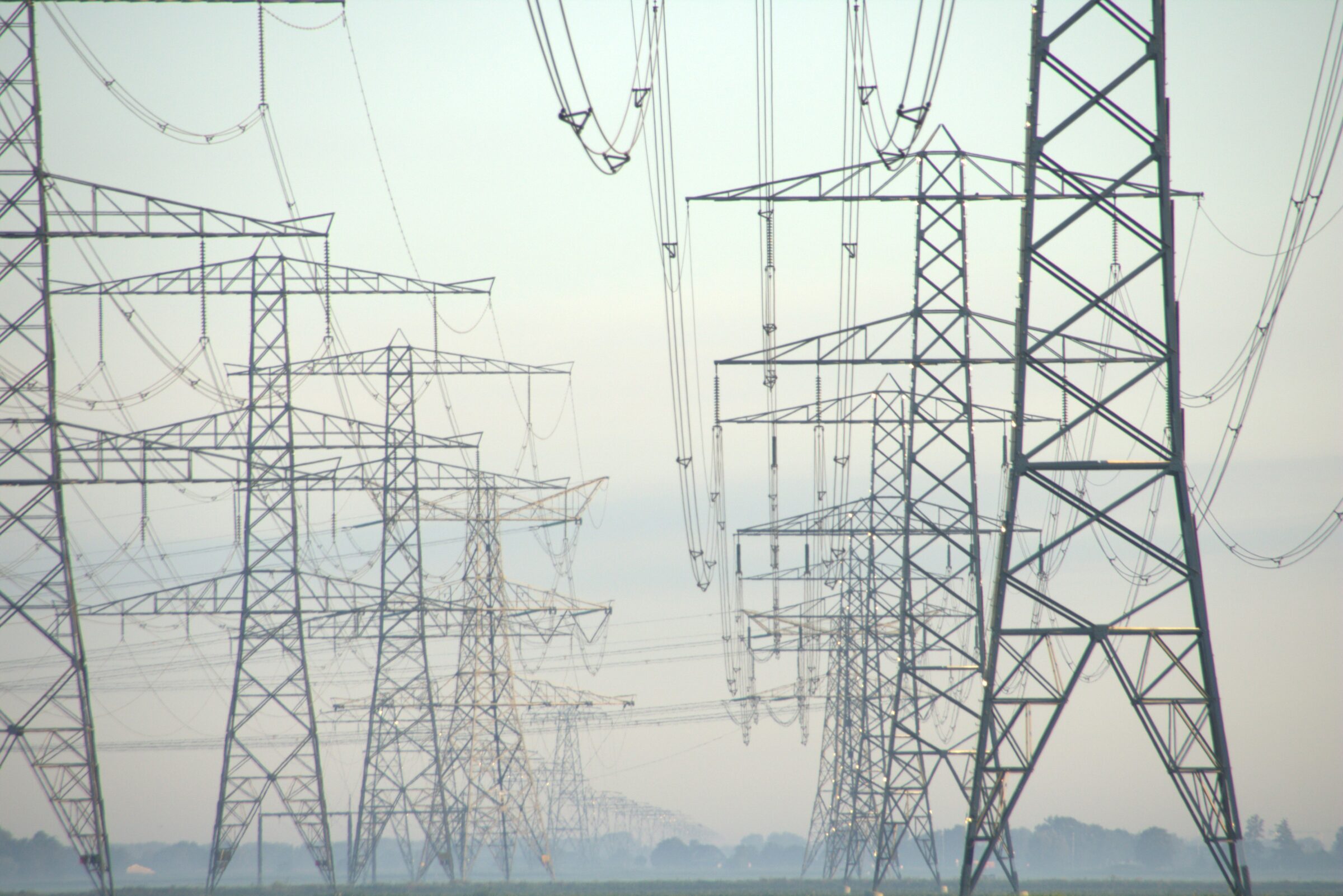 euobserver.com - Wester van Gaal - [Interview] 'Some of the resistance comes from people fearing they'll end up without a job,' says industry expert on Europe's slow electrification