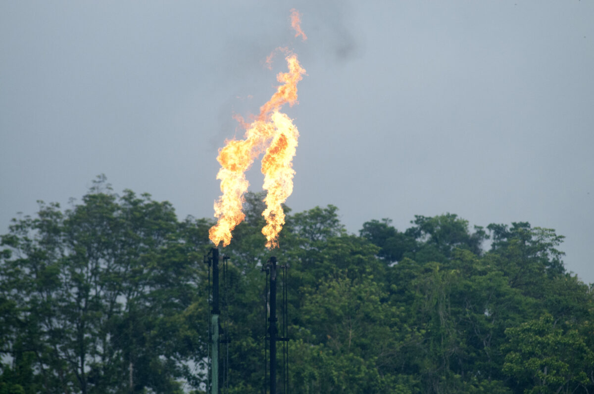 German taxpayers’ money backed new gas drilling in the Amazon, despite pledging to stop funding fossil fuels abroad