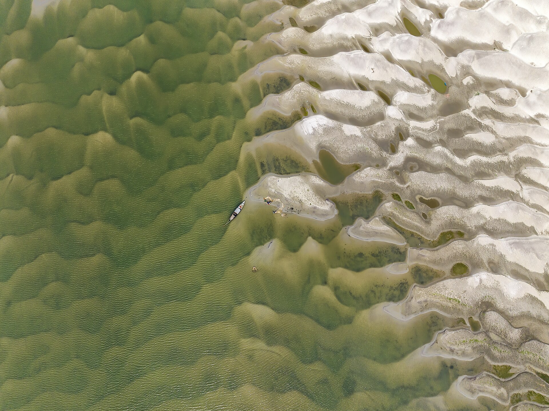 Drought is spreading on mainland Europe with low rainfall and soil moisture causing incessant wildfires, while a marine heatwave destroys whole underwater ecosystems